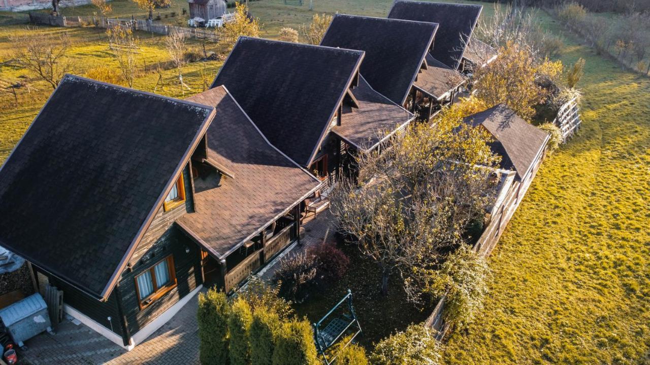 Pensiunea Galileo Borşa Esterno foto