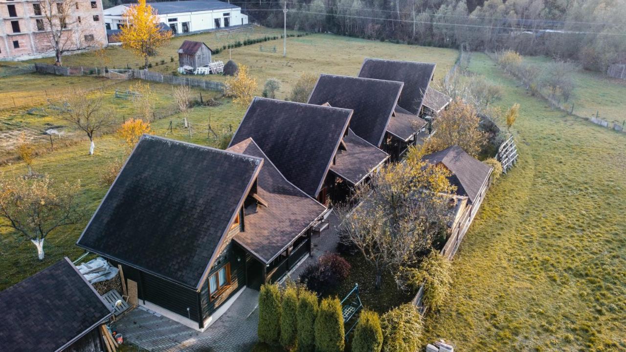 Pensiunea Galileo Borşa Esterno foto